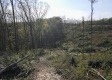 Huston Hills Retreat Cabin property photo