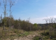 Huston Hills Retreat Cabin property photo