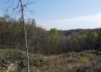 Huston Hills Retreat Cabin property photo