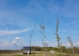 Huston Hills Retreat Cabin property photo