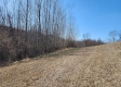 Lot 3 at Scenic View Subdivision property photo