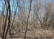 Lot 3 at Scenic View Subdivision property photo