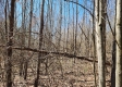 Lot 3 at Scenic View Subdivision property photo