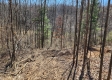 Lot 3 at Scenic View Subdivision property photo