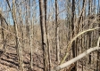 Lot 3 at Scenic View Subdivision property photo