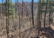 Lot 3 at Scenic View Subdivision property photo