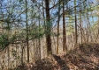 Lot 3 at Scenic View Subdivision property photo