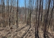 More of Lot 3 at Scenic View Subdivision
