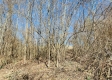 Lot 3 at Scenic View Subdivision property photo