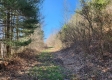 More of Lot 3 at Scenic View Subdivision