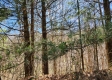 More of Lot 3 at Scenic View Subdivision
