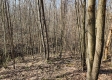 Lot 13 at Scenic View Subdivision property photo