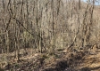Lot 13 at Scenic View Subdivision property photo