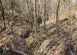 Lot 13 at Scenic View Subdivision property photo