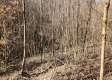 Lot 13 at Scenic View Subdivision property photo