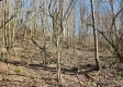 Lot 13 at Scenic View Subdivision property photo