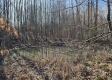 More of Lot 13 at Scenic View Subdivision
