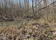 More of Lot 13 at Scenic View Subdivision