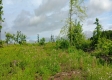 Cheap Dirt - Tract 13A – Huston Hills property photo