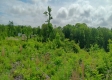 Cheap Dirt - Tract 13A – Huston Hills property photo