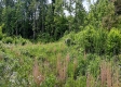Tract 13B – Huston Hills property photo