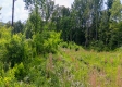 Tract 13B – Huston Hills property photo