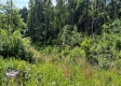 Tract 13B – Huston Hills property photo