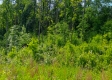 Tract 13B – Huston Hills property photo
