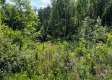 Tract 13B – Huston Hills property photo