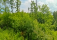 Tract 13B – Huston Hills property photo
