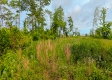 Tract 13B – Huston Hills property photo