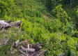 Tract 13B – Huston Hills property photo