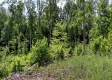 Tract 13B – Huston Hills property photo