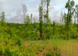 Tract 13B – Huston Hills property photo
