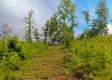 Tract 17a at Huston Hills property photo