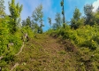 Tract 17a at Huston Hills property photo