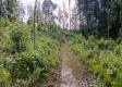 Tract 17a at Huston Hills property photo