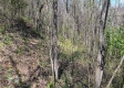 Keystone Escape property photo