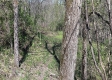 Keystone Escape property photo