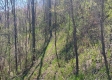Keystone Escape property photo