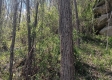 Keystone Escape property photo