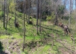 Keystone Escape property photo