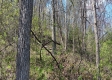 Keystone Escape property photo