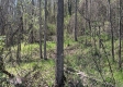 Keystone Escape property photo