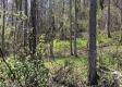 Keystone Escape property photo