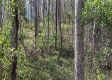 Keystone Escape property photo