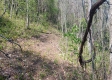 Keystone Escape property photo