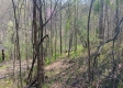 Keystone Escape property photo