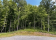Tract 11 – Huston Hills property photo