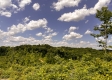 Tract 11 – Huston Hills property photo